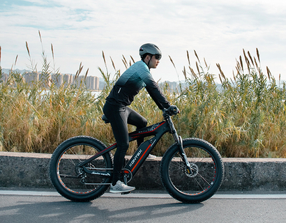 Carbon Fiber Electric Bike